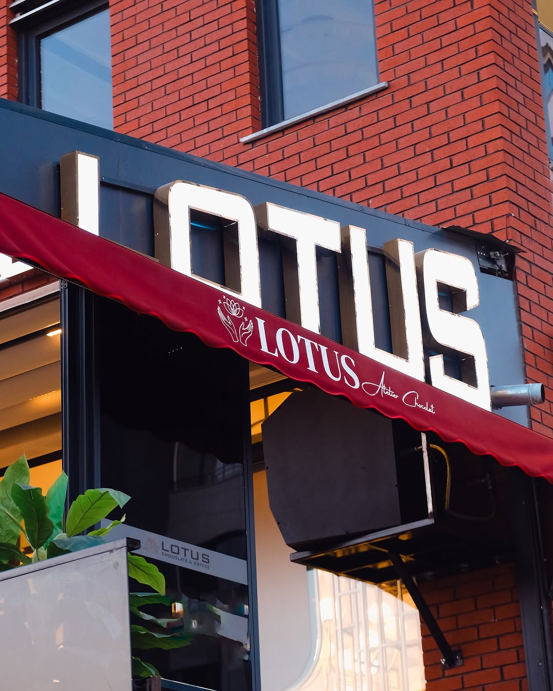 Lotus Kahve Hikayesi